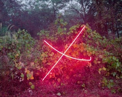 X Jung Lee, Neon, lumière, installation, symbole, rouge, nature, paysage, arbres