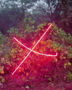 X – Jung Lee, Neon, Light, Installation, Symbole, Red, Nature, Landscape, Trees