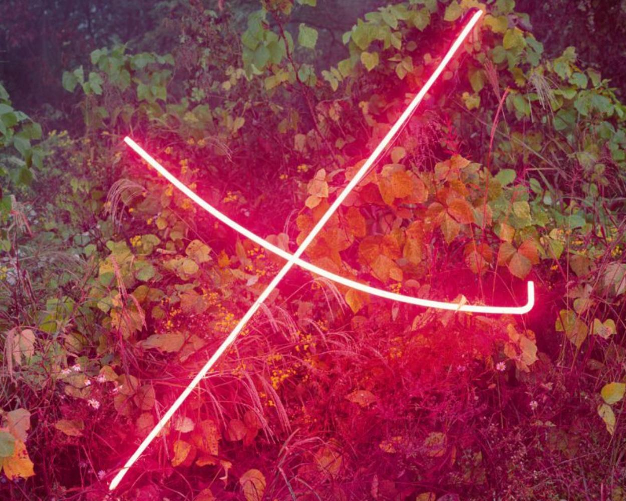 X – Jung Lee, Neon, Light, Installation, Symbole, Red, Nature, Landscape, Trees For Sale 1