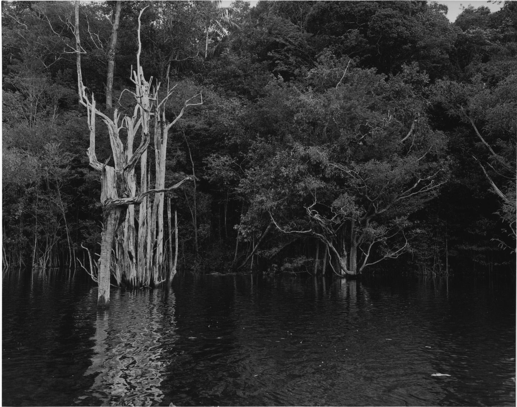 Balthasar Burkhard  Black and White Photograph – Rio Negro 14 Balthasar Burkhard, Schwarz-Weiß-Fotografie, Dschungel, Fluss