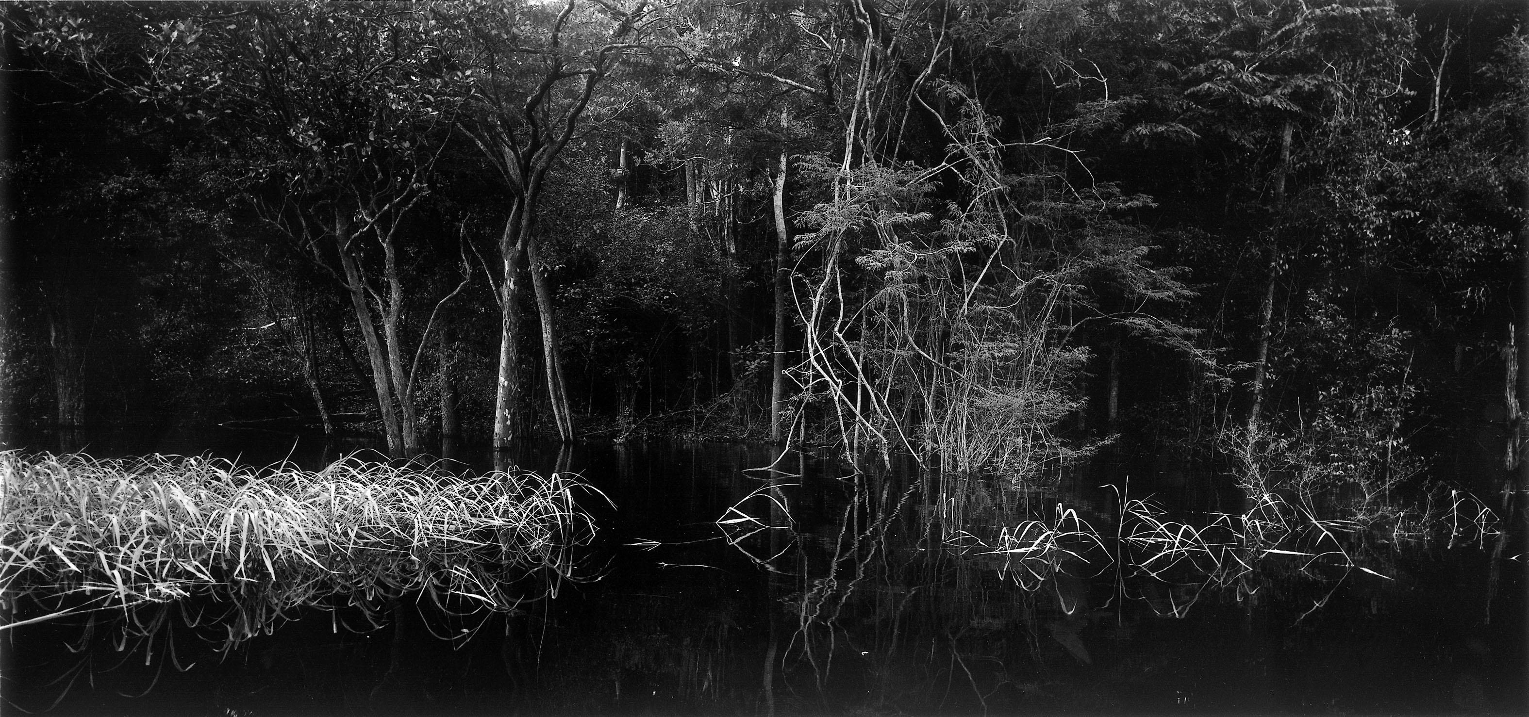 Balthasar BURKHARD (1944–2010, Switzerland)
Rio Negro 02, 2002
Silver gelatin print on Baryta paper, artist's iron frame, museum glass
Sheet 125 x 250 cm (49 1/4 x 98 3/8 in.)
Frame 127 x 252 x 4 cm (50 x 99 1/4 x 1 5/8 in.)
From a sold out edition