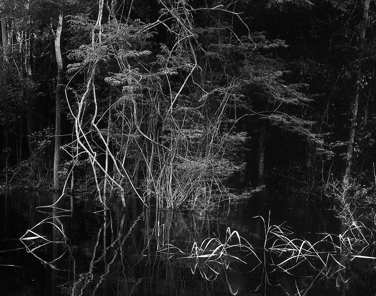 Rio Negro 02 Balthasar Burkhard, Schwarzweißfotografie, Dschungel, Fluss – Photograph von Balthasar Burkhard 