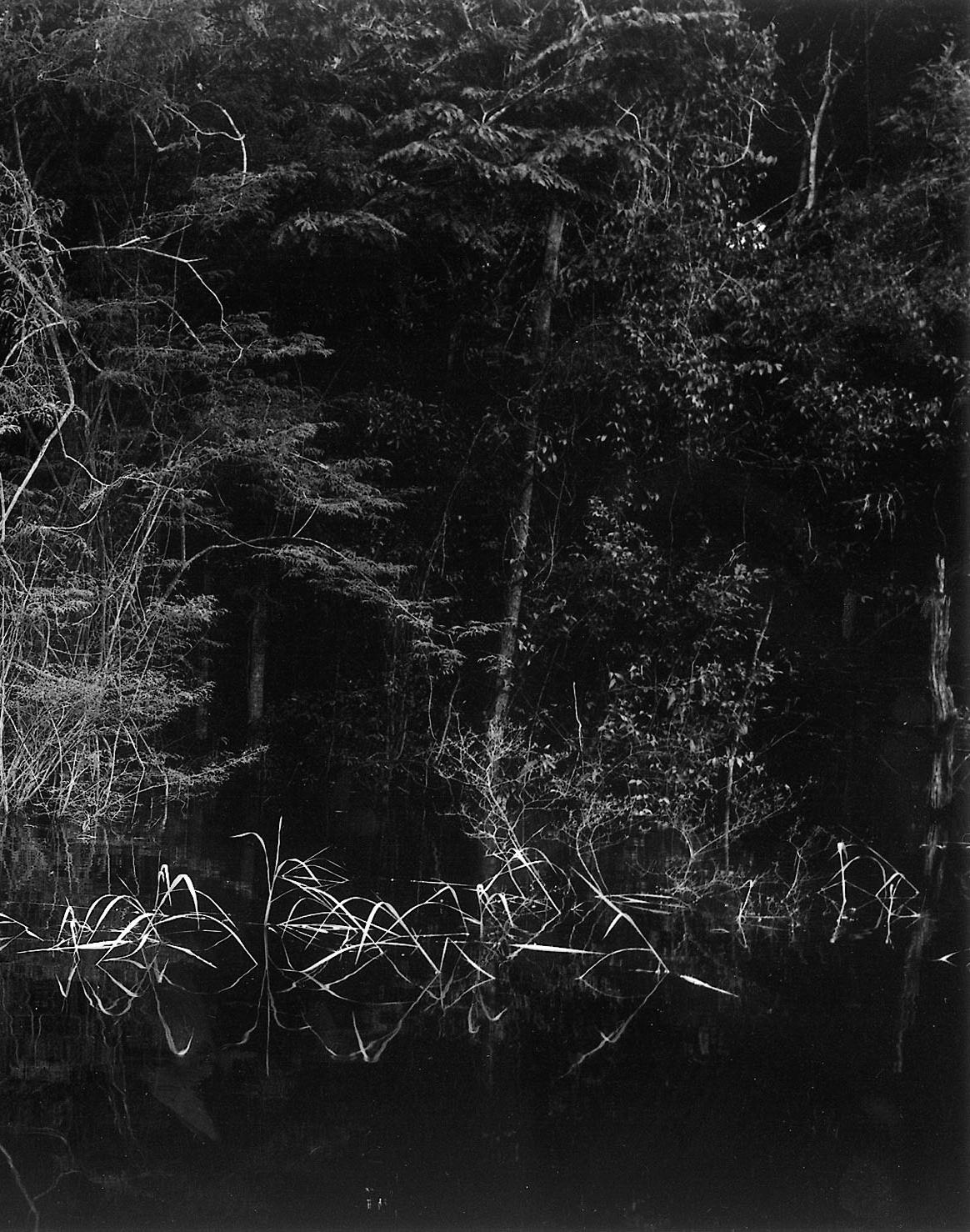Balthasar BURKHARD (1944-2010, Schweiz)
Rio Negro 02, 2002
Silbergelatineabzug auf Barytpapier, Eisenrahmen des Künstlers, Museumsglas
Blatt 125 x 250 cm (49 1/4 x 98 3/8 in.)
Rahmen 127 x 252 x 4 cm (50 x 99 1/4 x 1 5/8 in.)
Aus einer ausverkauften