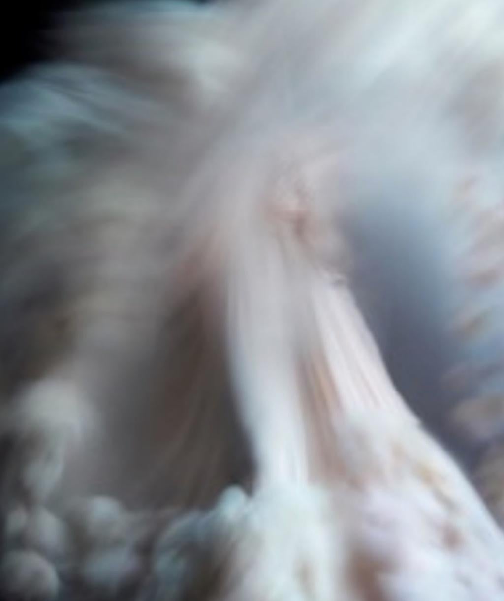 Ming Xi portant une robe haute couture Chanel Nick Knight, Photographie, mode, robe en vente 1