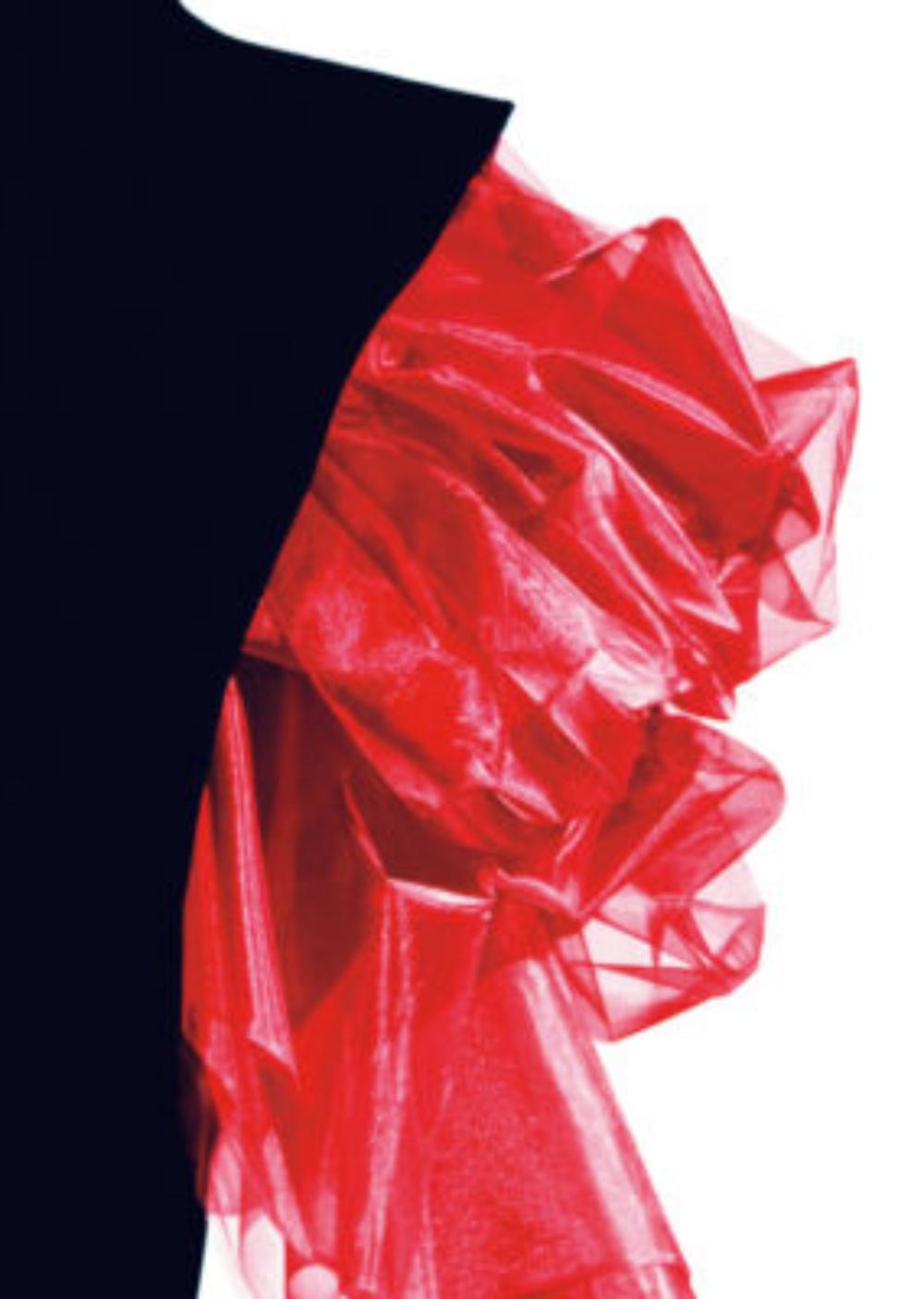 Red Bustle, Yohji Yamamoto - Nick Knight, Photographie, Mode, Silhouette, Art en vente 4