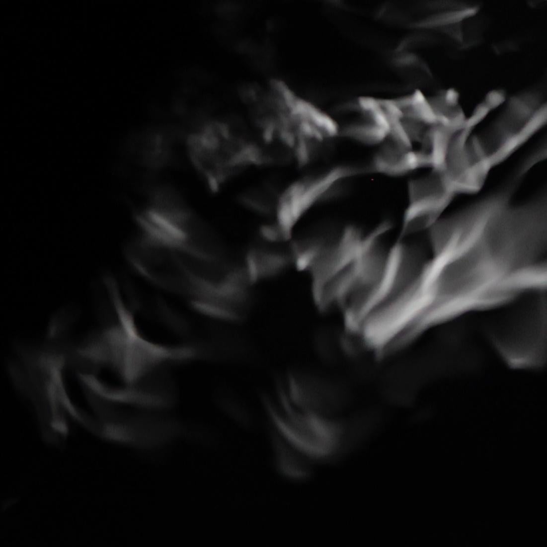 Sans titre, de la série TSUKI (n° 009) Syoin Kajii, photographie de Japense en vente 3