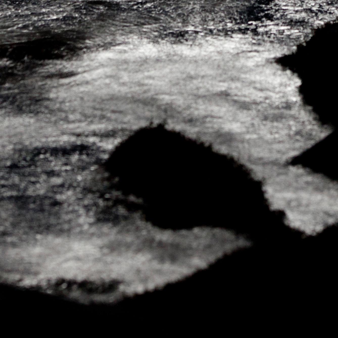 Sans titre, de la série TSUKI (n° 002) Syoin Kajii, photographie de Japense en vente 1