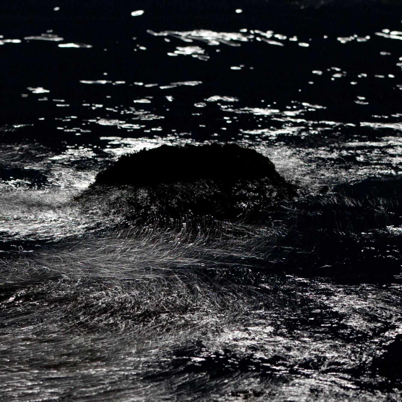 Sans titre, de la série TSUKI (n° 002) Syoin Kajii, photographie de Japense en vente 4