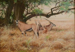 "Nialas at rest", 19th Century watercolour by German painter "Wilhelm Kuhnert"