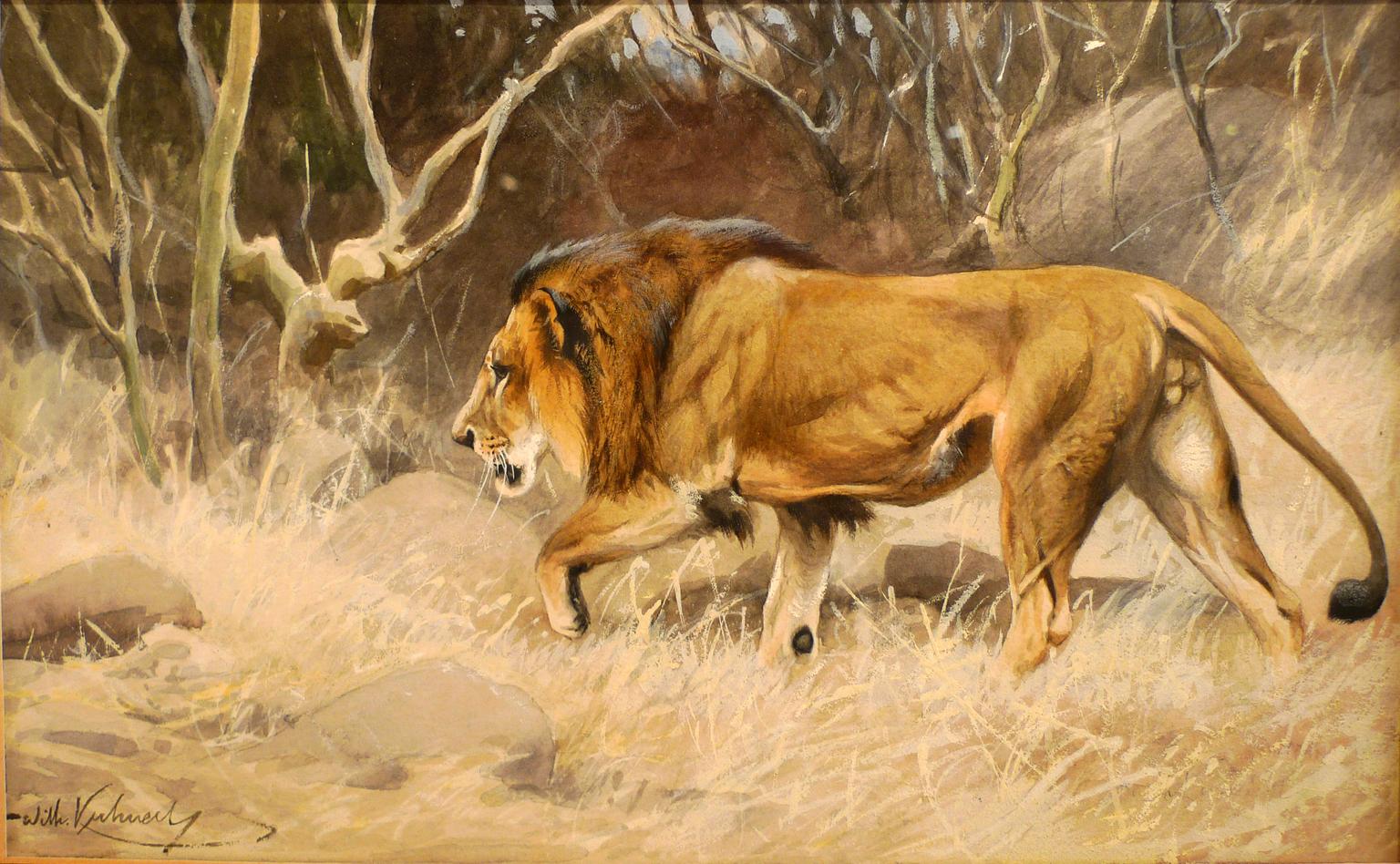 „Lion on the move“,  Aquarell des deutschen Malers Wilhelm Kuhnert aus dem 19. Jahrhundert im Angebot 1