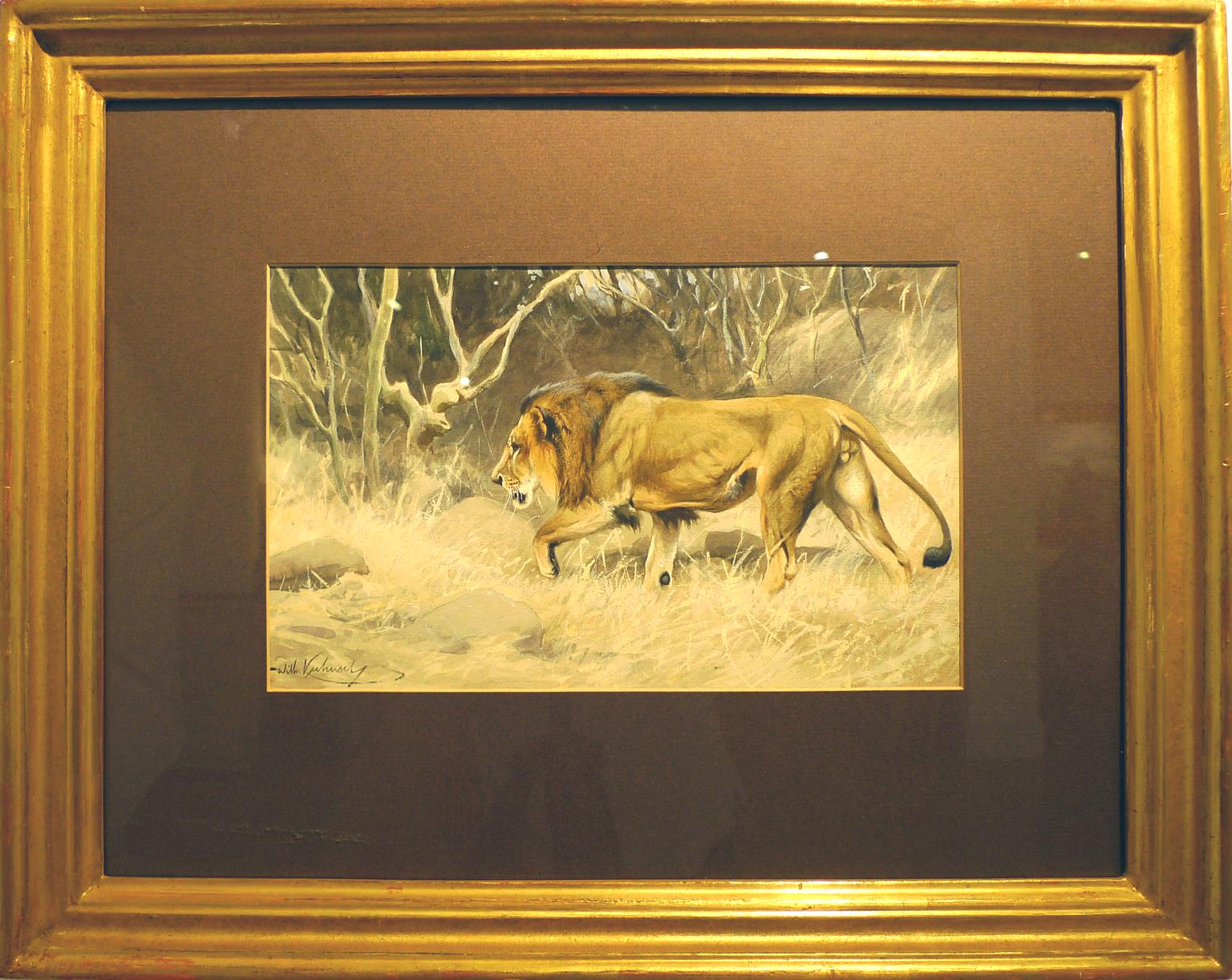 „Lion on the move“,  Aquarell des deutschen Malers Wilhelm Kuhnert aus dem 19. Jahrhundert