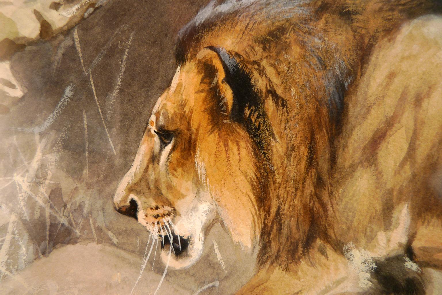 „Lion on the move“,  Aquarell des deutschen Malers Wilhelm Kuhnert aus dem 19. Jahrhundert im Angebot 3