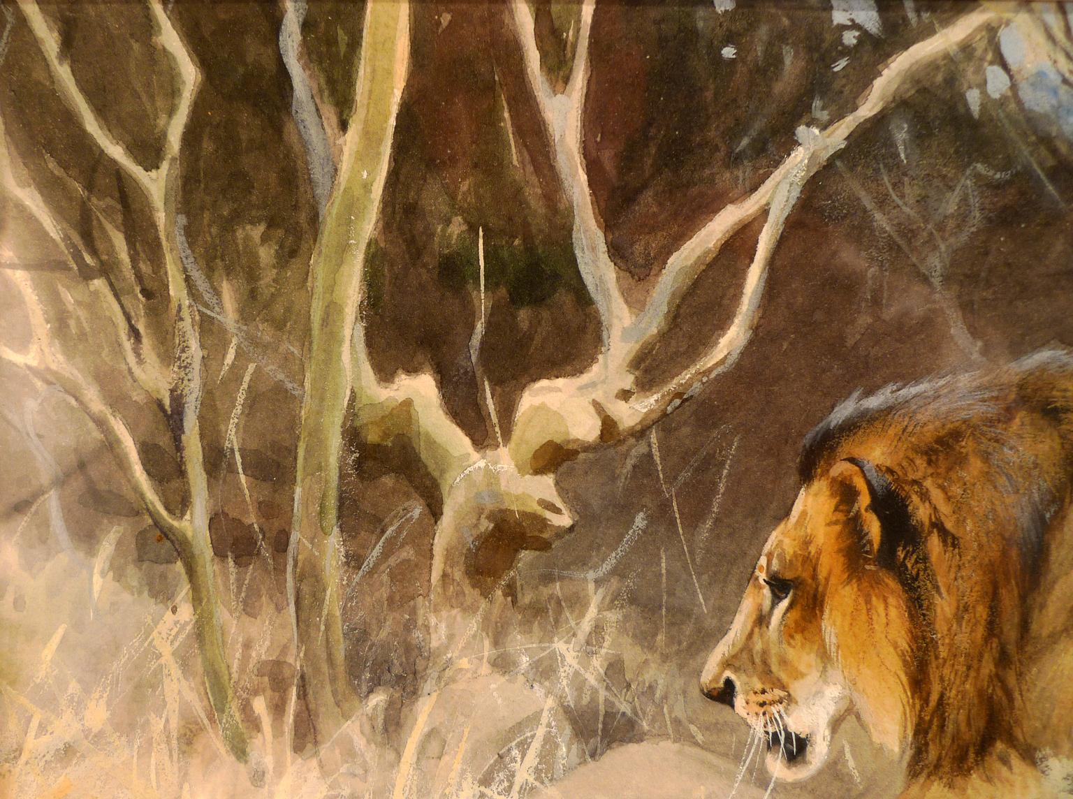 „Lion on the move“,  Aquarell des deutschen Malers Wilhelm Kuhnert aus dem 19. Jahrhundert im Angebot 4