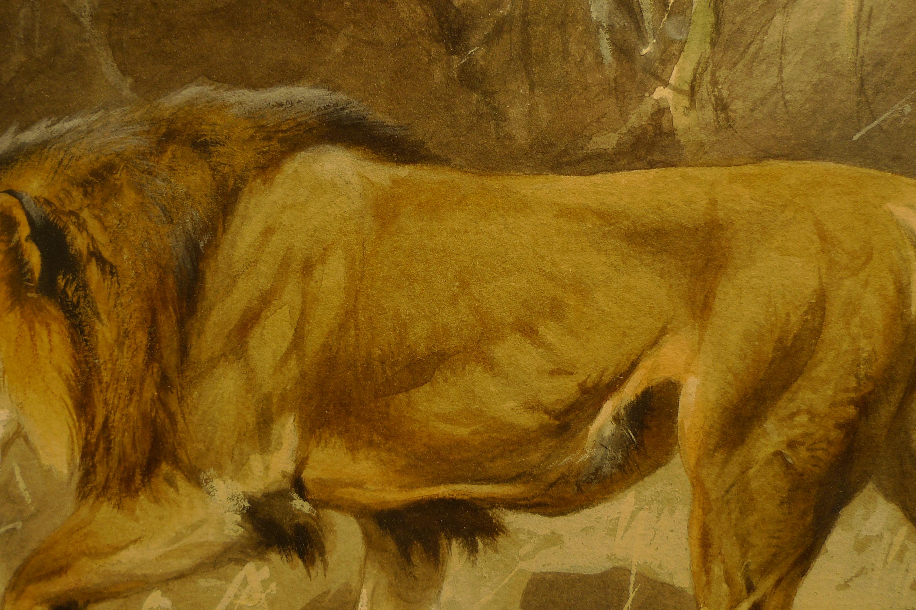 „Lion on the move“,  Aquarell des deutschen Malers Wilhelm Kuhnert aus dem 19. Jahrhundert im Angebot 5