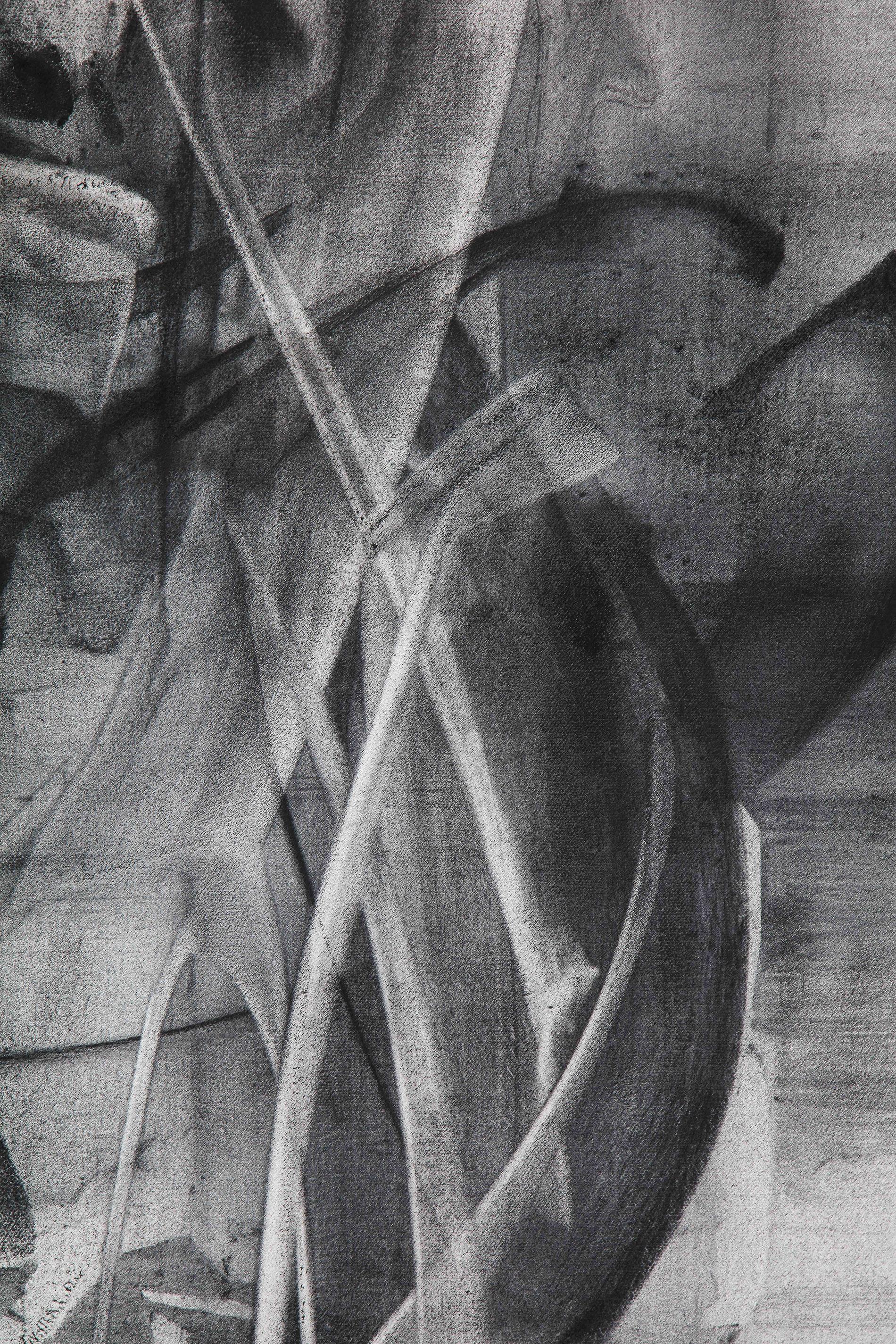 Bacchus, Fig. 3 - Gray Abstract Drawing by Wilba Simson