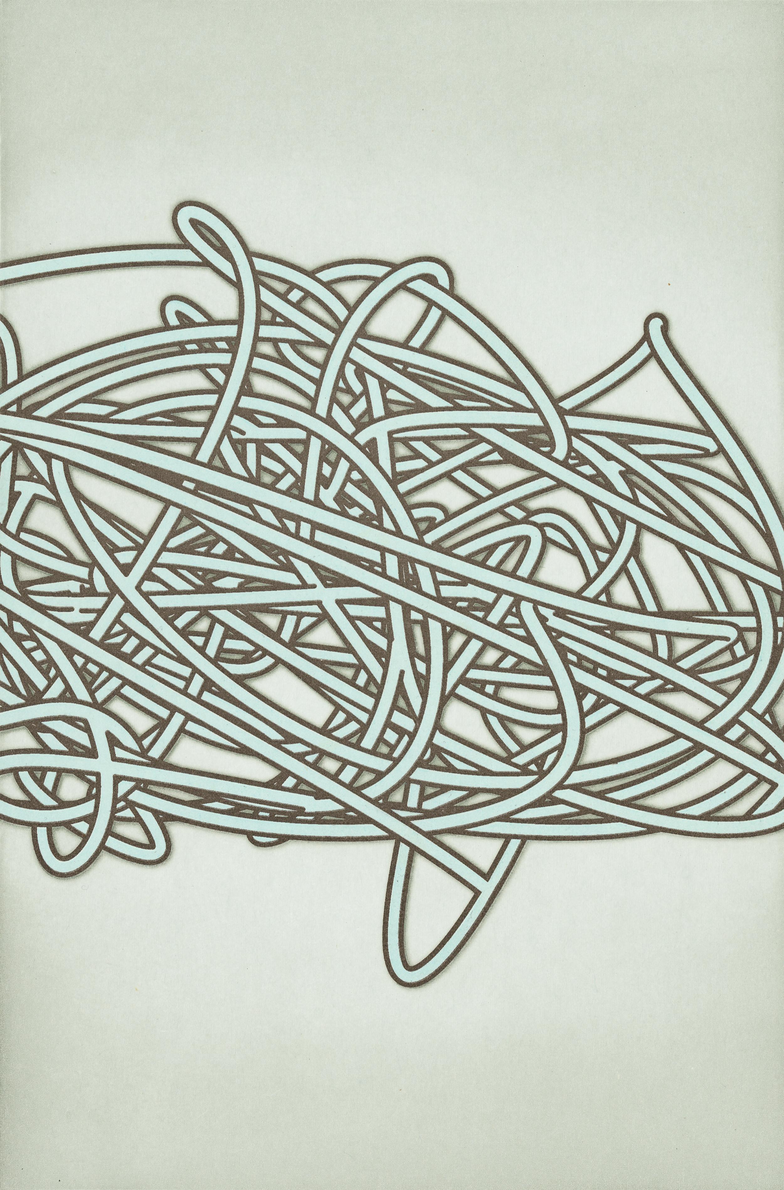 Alyson Shotz Abstract Print - Knot Theory (green)
