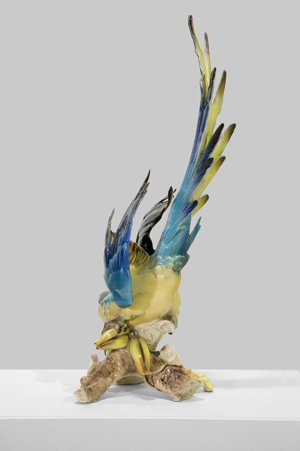 This gorgeous and large porcelain sculpture from Hutschenreuther porcelain is of a a majestic blue-and-gold macaw, a neotropical parrot prized for its intelligence and striking colors, perched on a flowering branch, blue wings and tail outstretched.