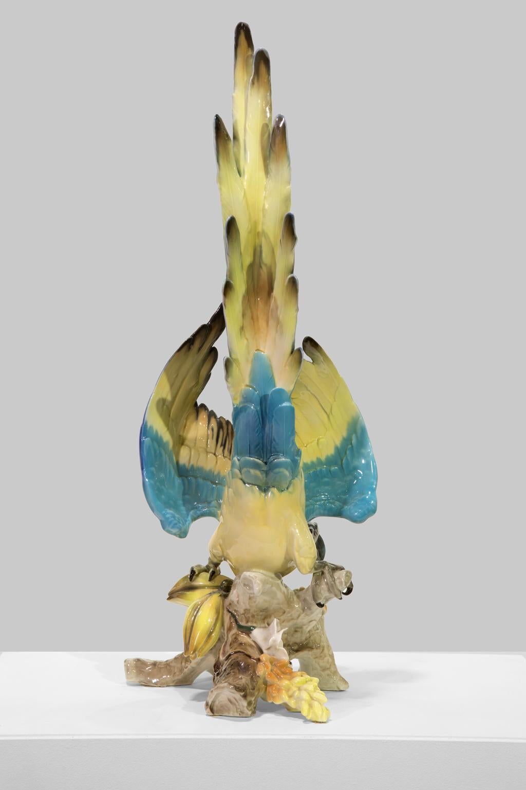 Large Blue-And-Gold Macaw, Tropical Parrot, from Hutschenreuther Selb Porcelain 1