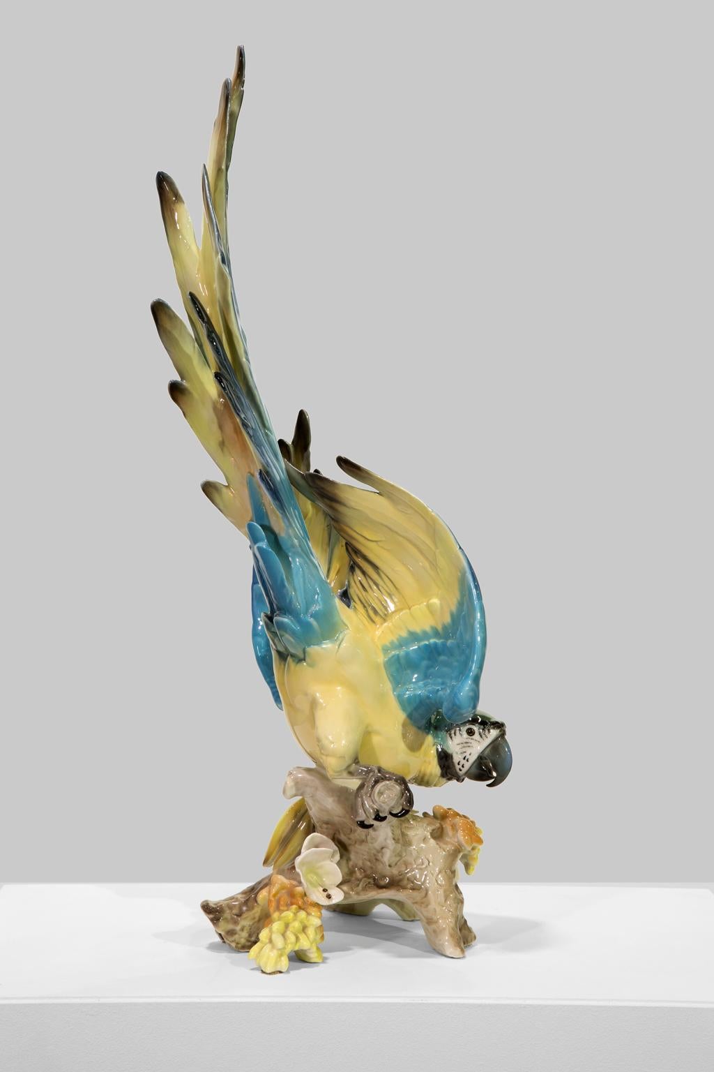 Large Blue-And-Gold Macaw, Tropical Parrot, from Hutschenreuther Selb Porcelain 2