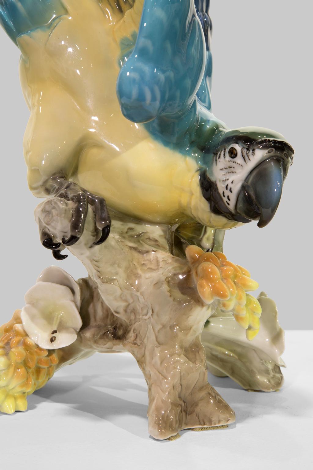 Large Blue-And-Gold Macaw, Tropical Parrot, from Hutschenreuther Selb Porcelain 4
