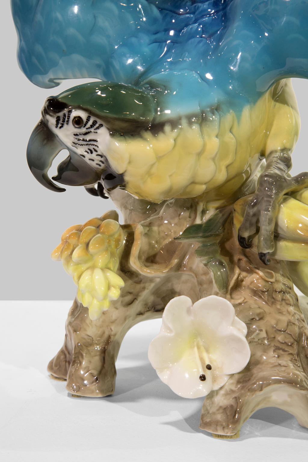Large Blue-And-Gold Macaw, Tropical Parrot, from Hutschenreuther Selb Porcelain 5