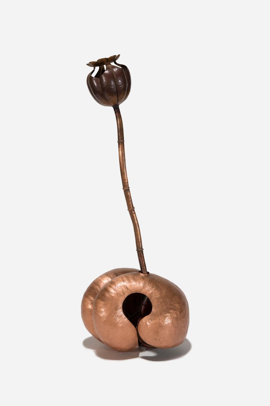 Kai Wolter "Cephalic" Hammered Copper, Organic Shape, Naturalistic at