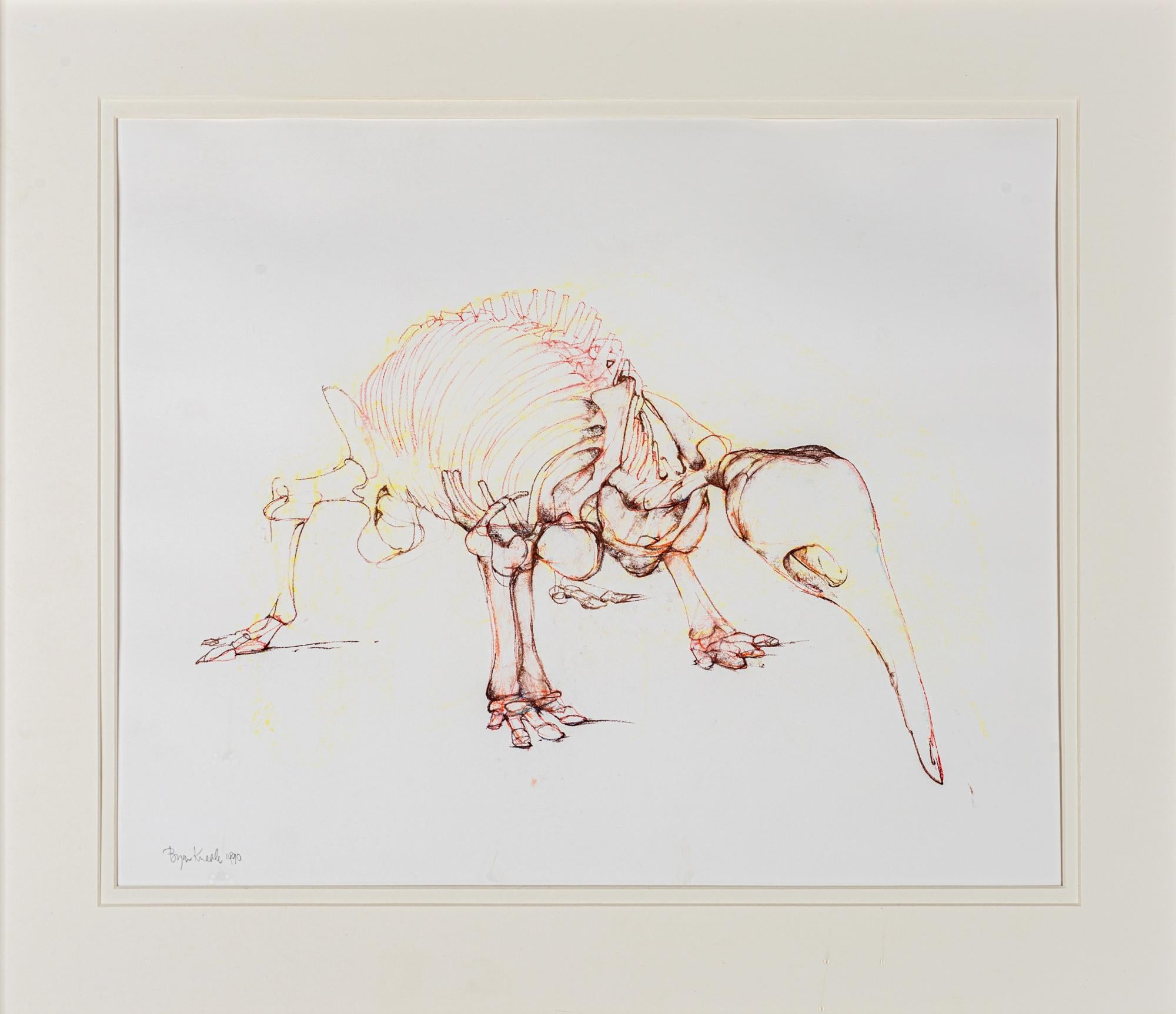 ANTEATER - Art by Bryan Kneale