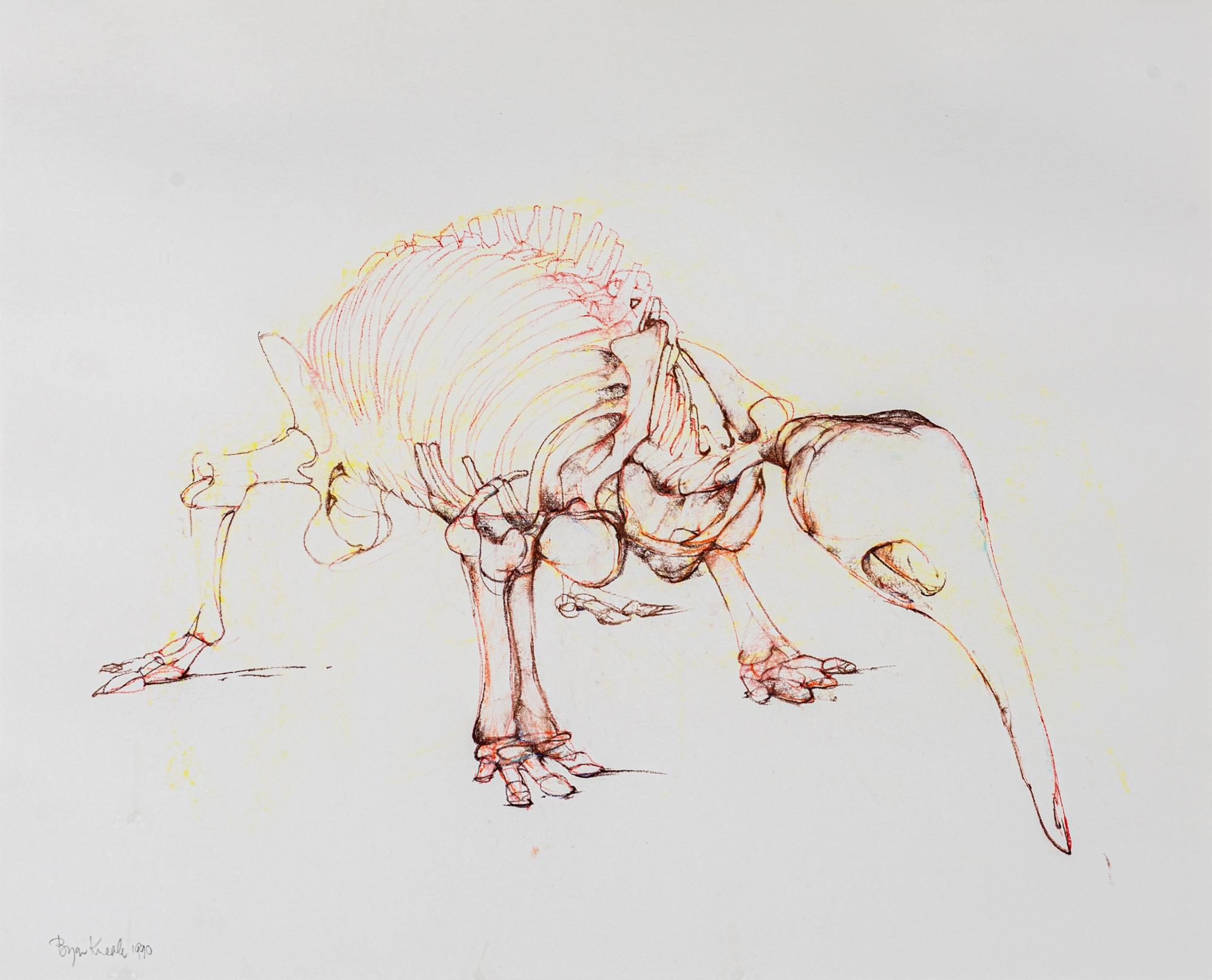 anteater stance