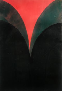 Velvet Jacket I