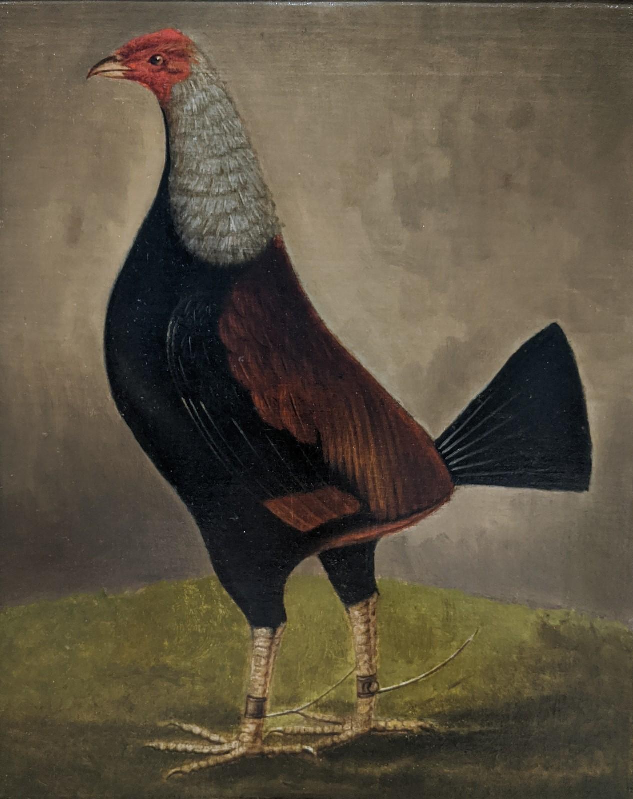 Hilton Pratt Animal Painting - Fighting Game Cock