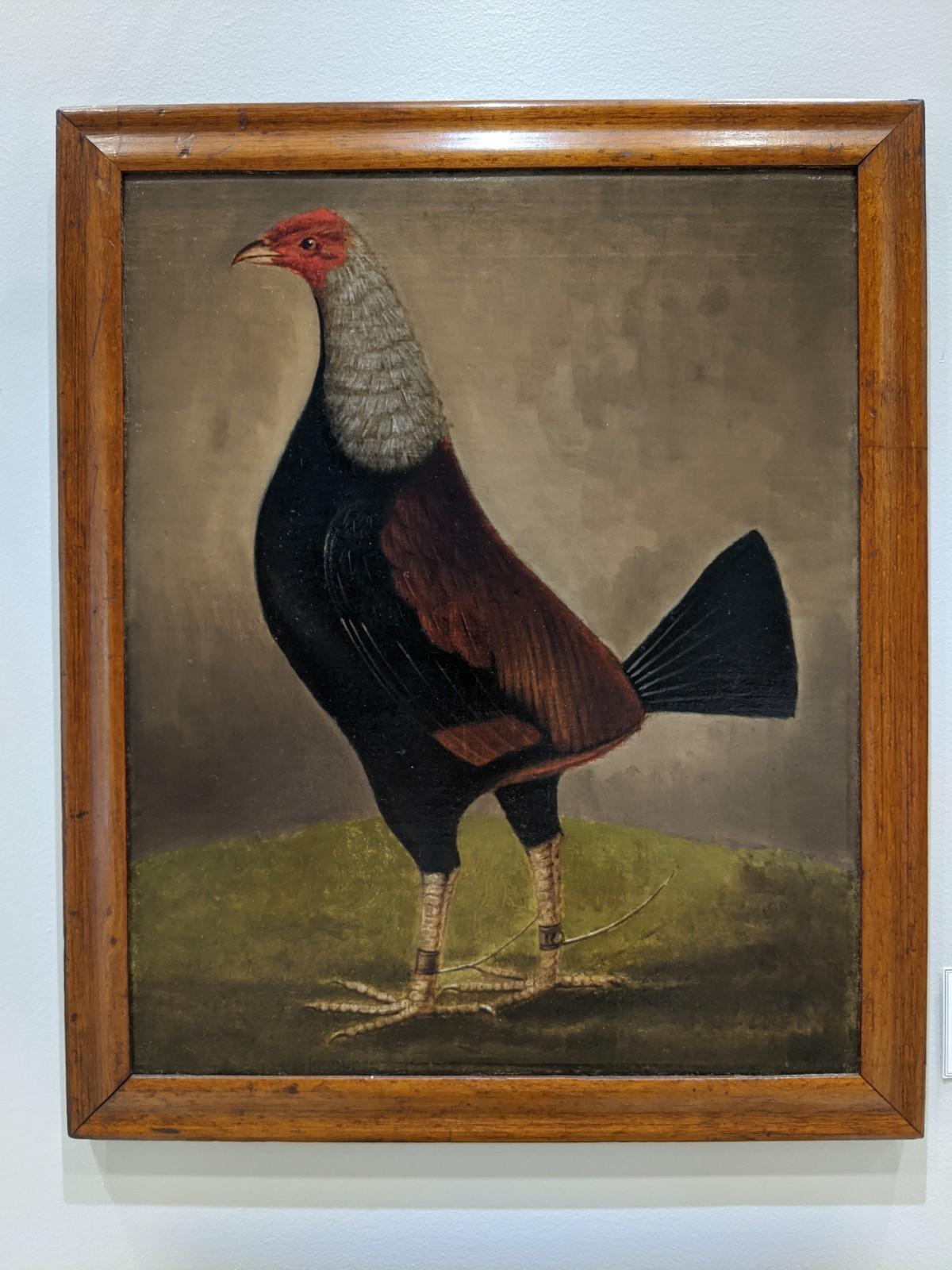 Fighting Game Cock - Painting by Hilton Pratt