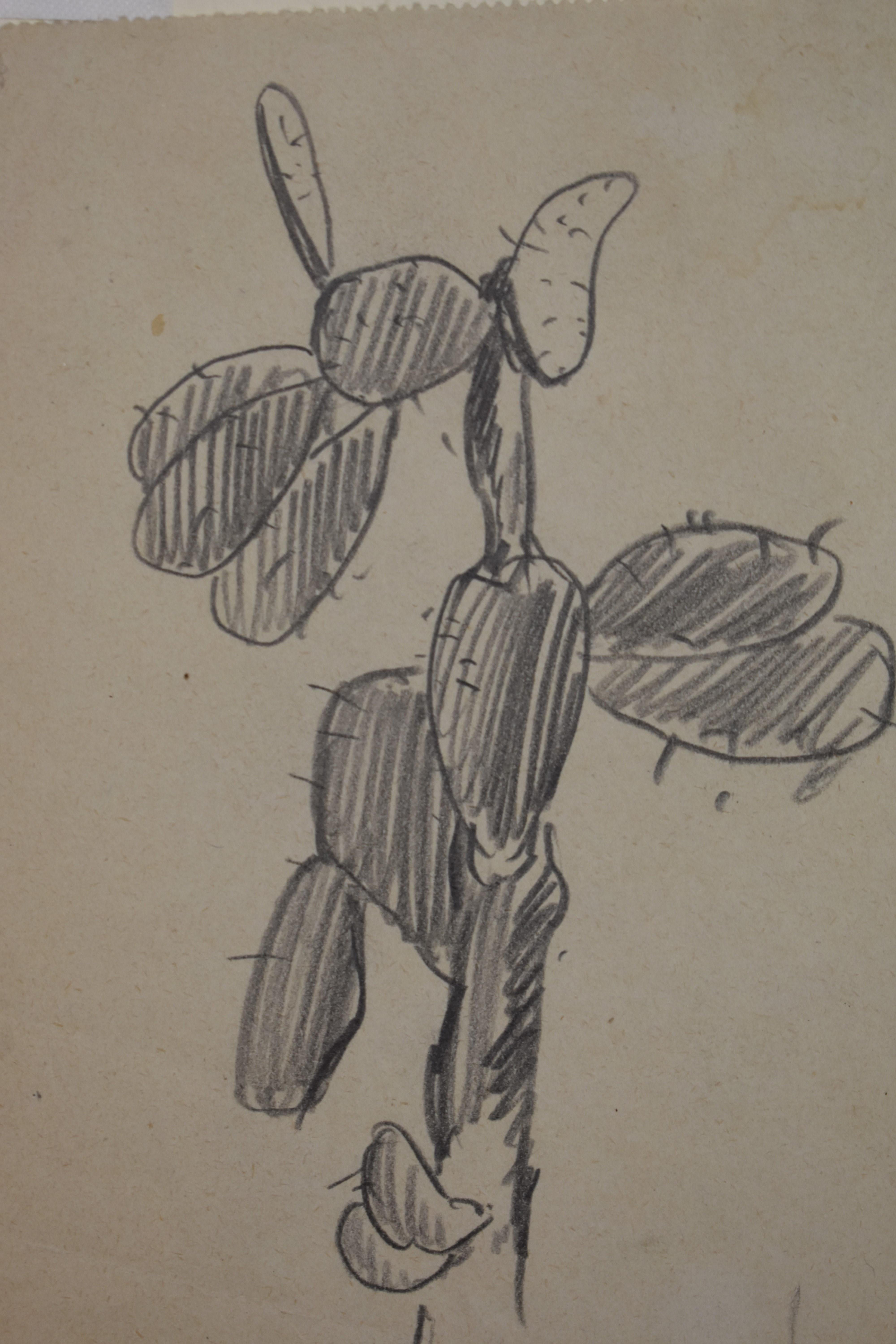 cactus pencil sketch