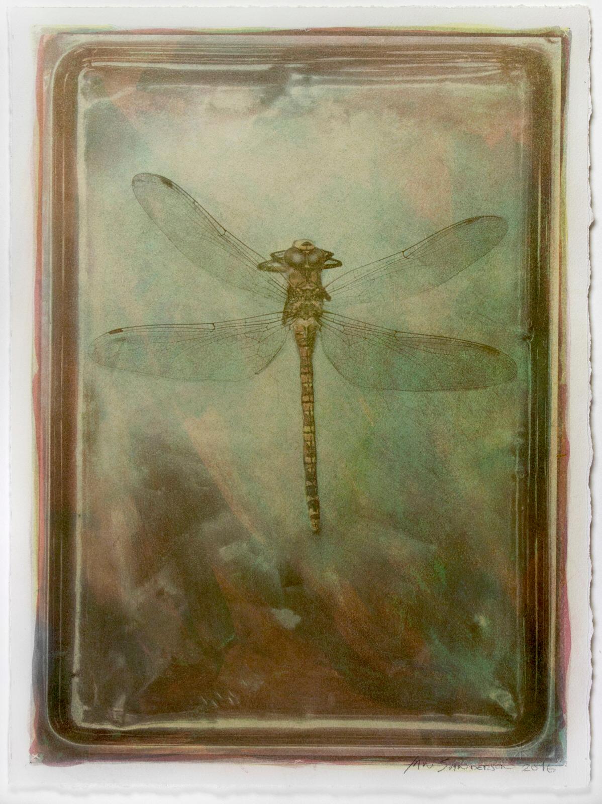 Ian Sanderson Still-Life Photograph – Dragonfly-Unique Gum Bichromate print(sensitised watercolour), Photographic print