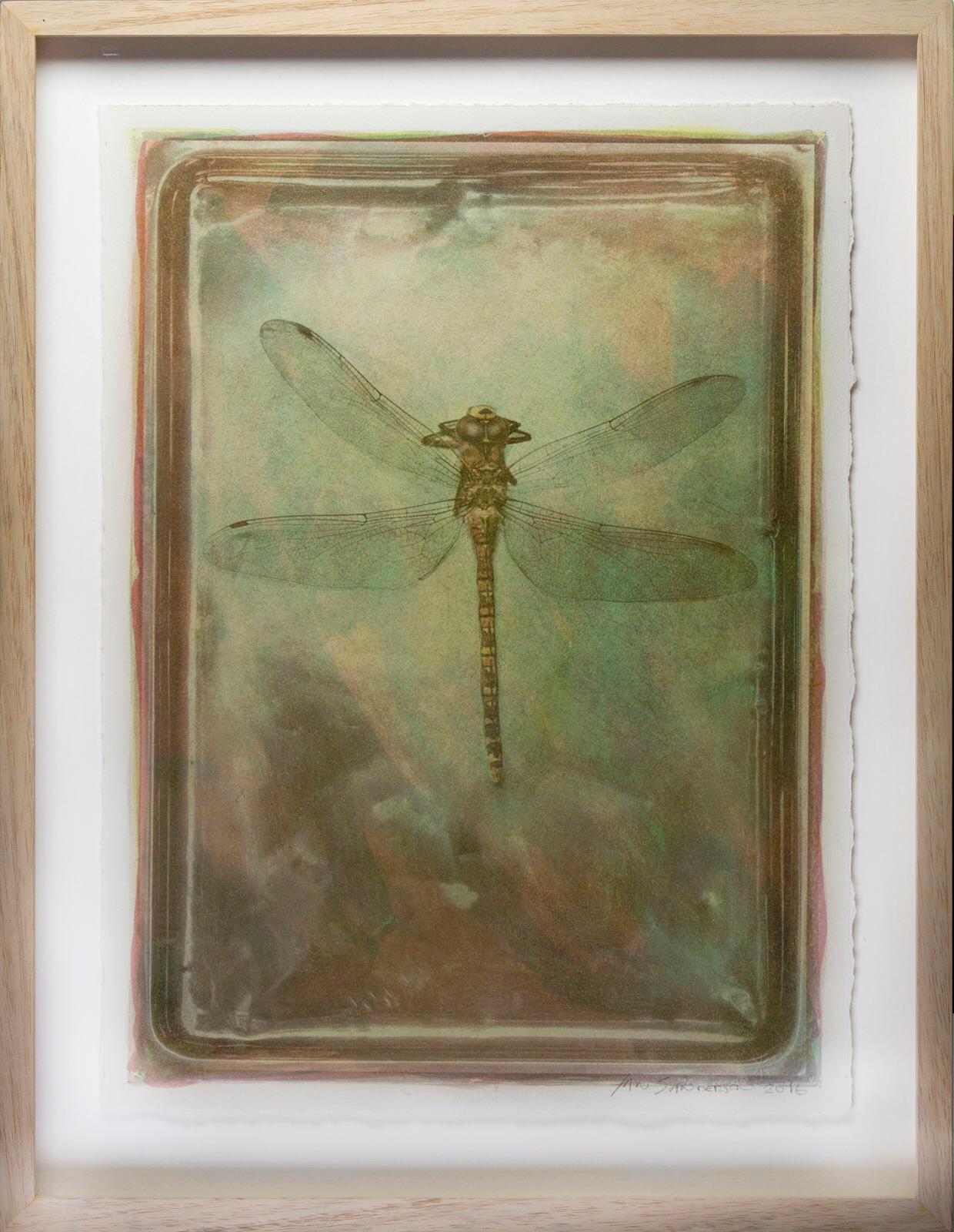 Dragonfly-Unique Gum Bichromate print(sensitised watercolour), Photographic print - Brown Still-Life Photograph by Ian Sanderson