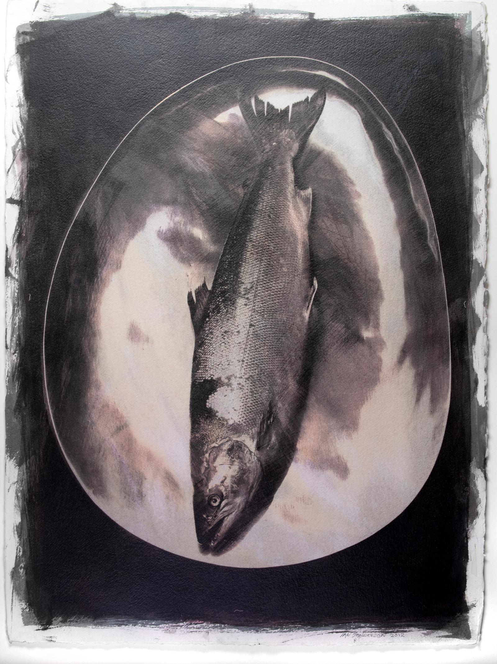 Ian Sanderson Color Photograph – Salmon- Unique Gum Bichromate print (sensitised watercolour), Photographic print