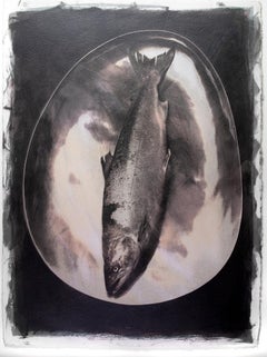 Salmon- Unique Gum Bichromate print (sensitised watercolour), Photographic print