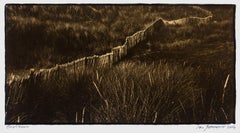 Platinum Landscape Photography