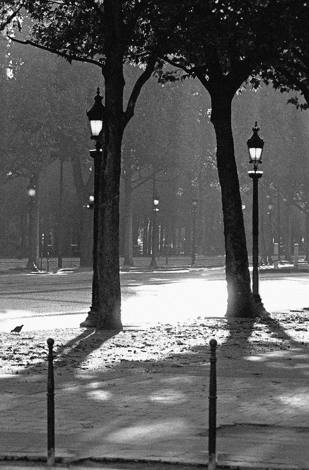 Elysées-Signature de l'édition limitée d'un paysage urbain, Noir blanc, Route tranquille, Solitaire - Contemporain Photograph par Ian Sanderson