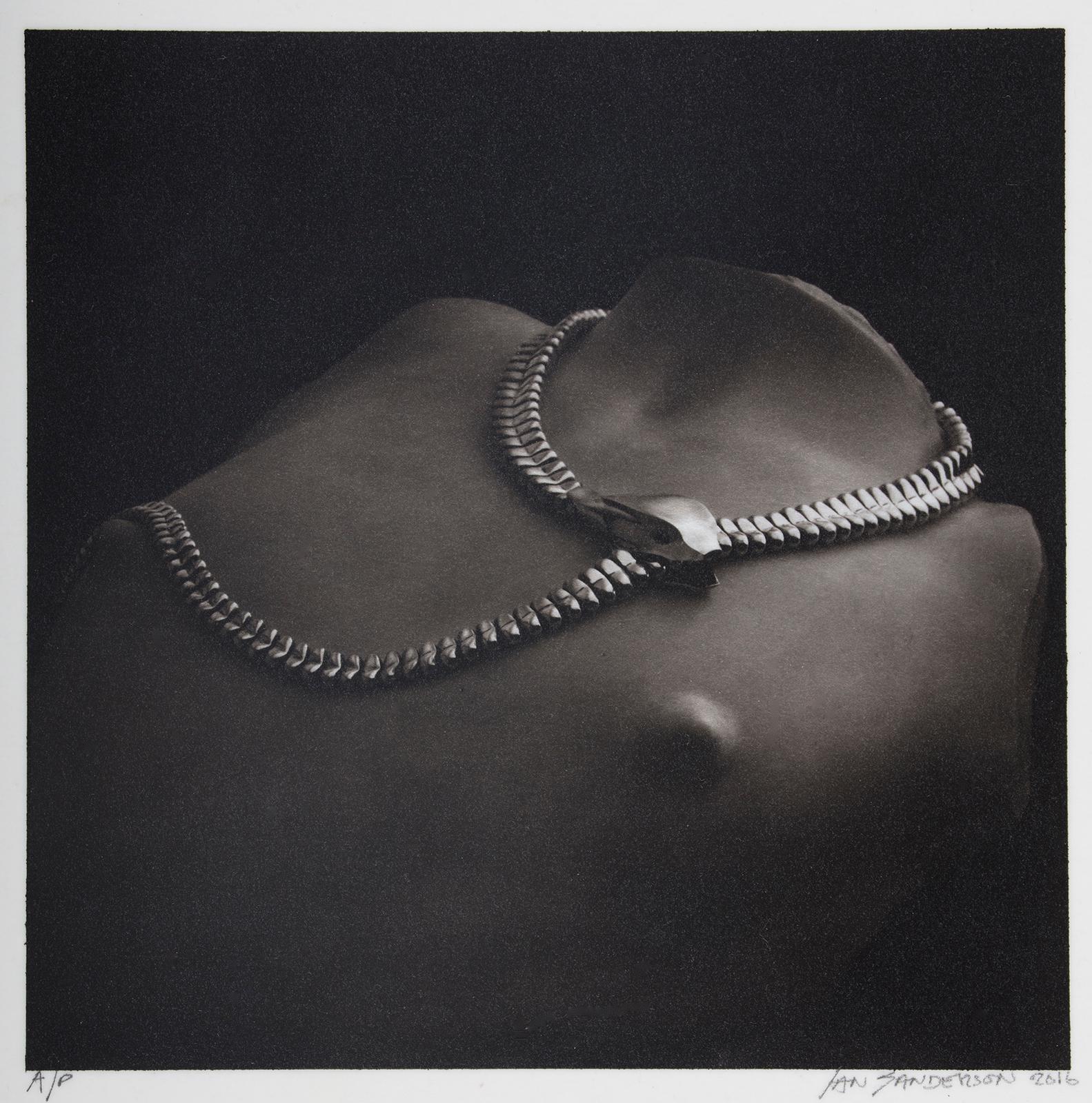 Ian Sanderson Black and White Photograph - Snake-Platinum Palladium print on vellum over silver, A/P, Limited edition, Jewelry