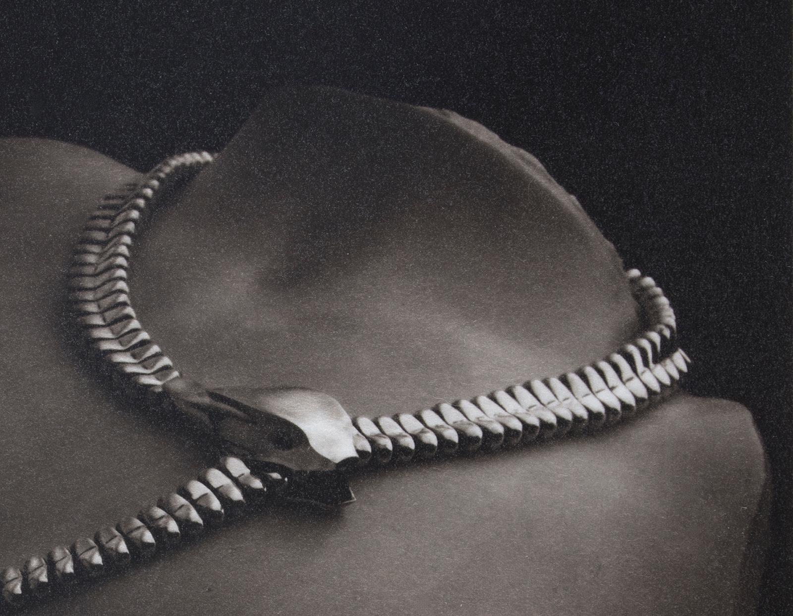Snake-Platinum Palladium print on vellum over silver, A/P, Limited edition, Jewelry - Photograph by Ian Sanderson