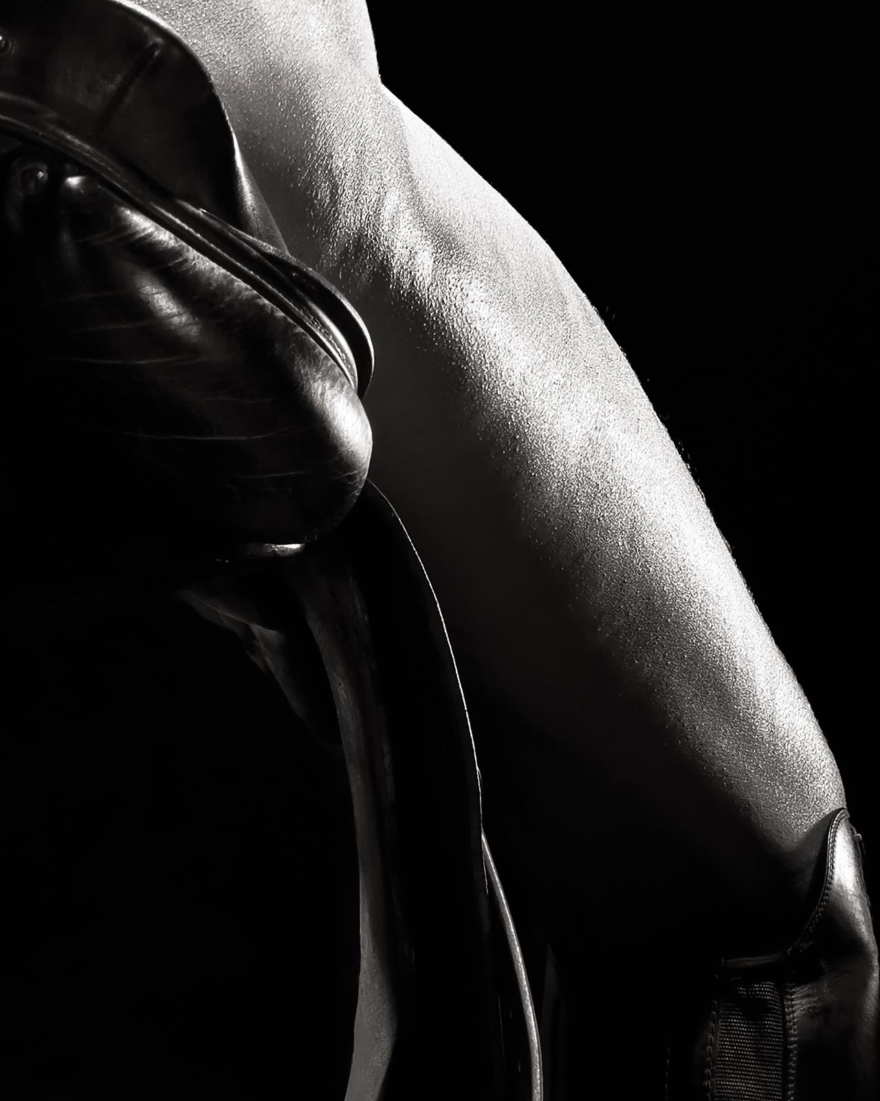Stampa contemporanea firmata in edizione limitata, Cavallo, Equitazione - Sella, Frusta, Nudo - Photograph Contemporaneo di Peter Ridge