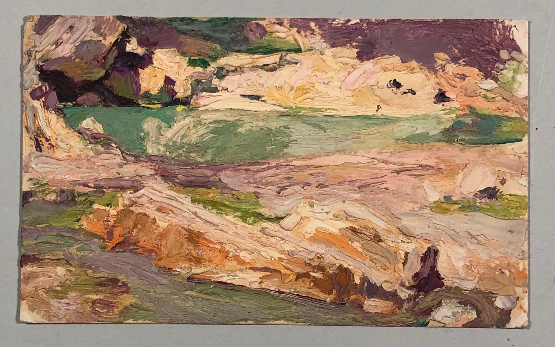 Jules Pierre van Biesbroeck Landscape Painting - Sunny landscape. Oil sketch on cardboard.