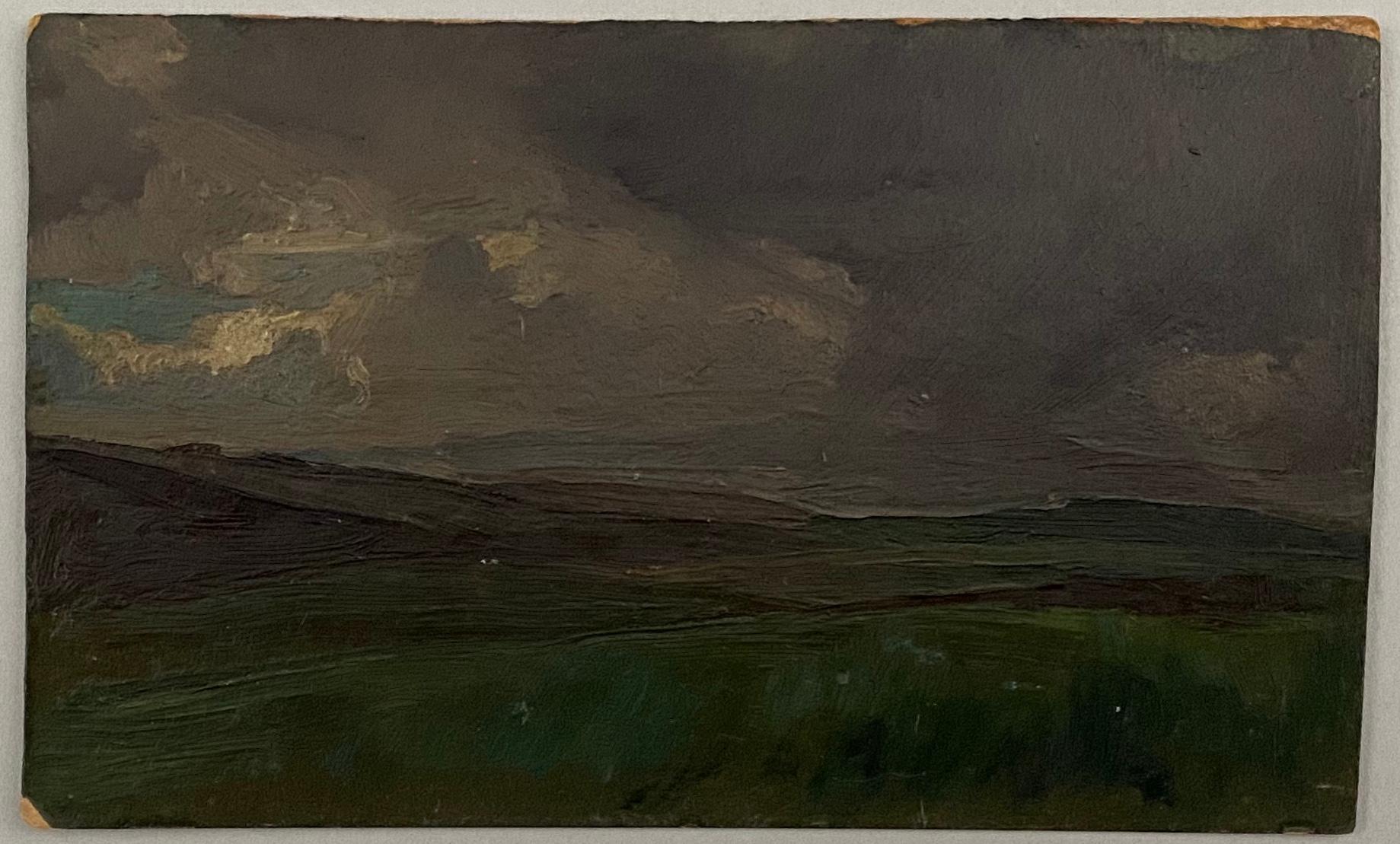 Jules Pierre van Biesbroeck Landscape Painting - Cloudy landscape. Oil sketch on cardboard. Unsigned.