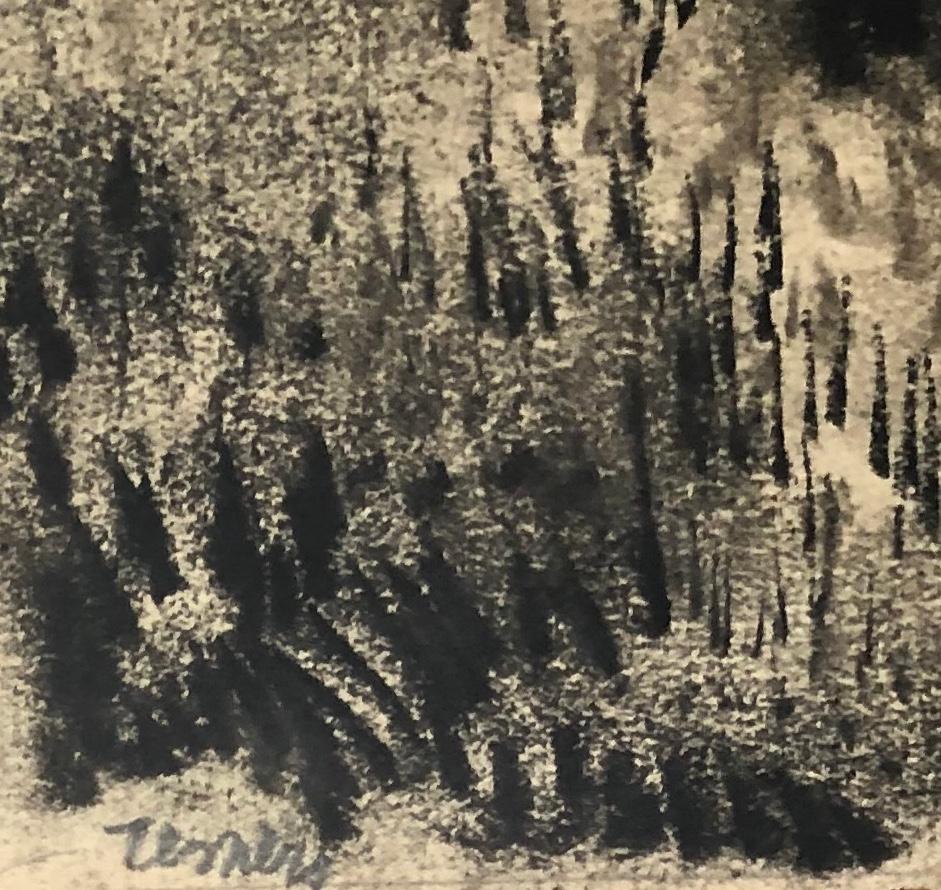 JESPERS Floris. Landscape. Charcoal drawing. Signed. - Art by Floris Jespers