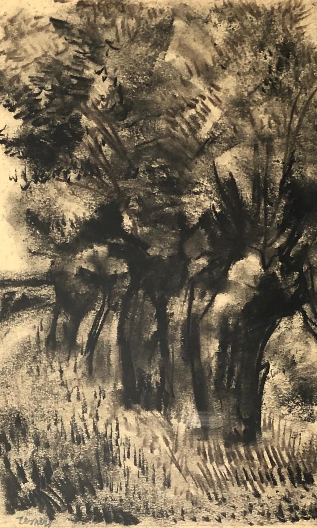 Floris Jespers. Paysage. Dessin au fusain. Signé. en vente 1