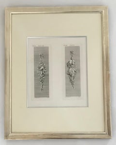 Allegory of the four seasons. Four engravings on two framed sheets.