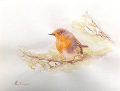 Robin, Watercolor Handmade Painting