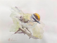 Golden-Crowned Kinglet, Bird, Watercolor Handmade Painting