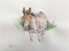 Donkey, Watercolor Handmade Painting