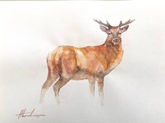 Deer, Animal, Watercolor Handmade Painting
